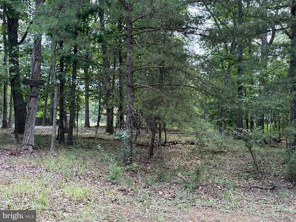 6.79 Acres of Residential Land for Sale in Gore, Virginia