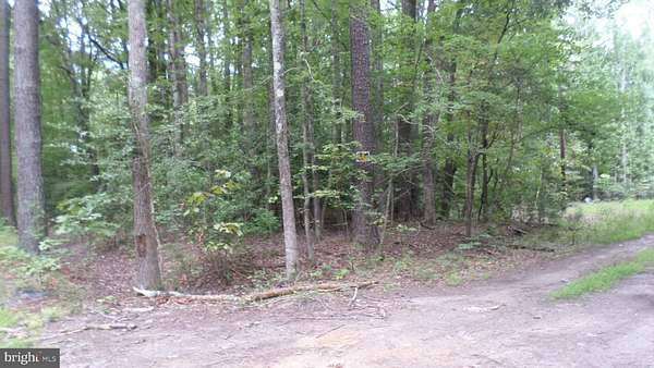 0.25 Acres of Residential Land for Sale in Colonial Beach, Virginia