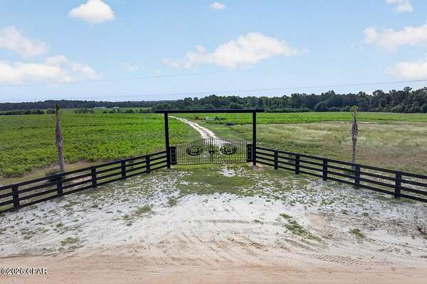 164 Acres of Land for Sale in Bonifay, Florida