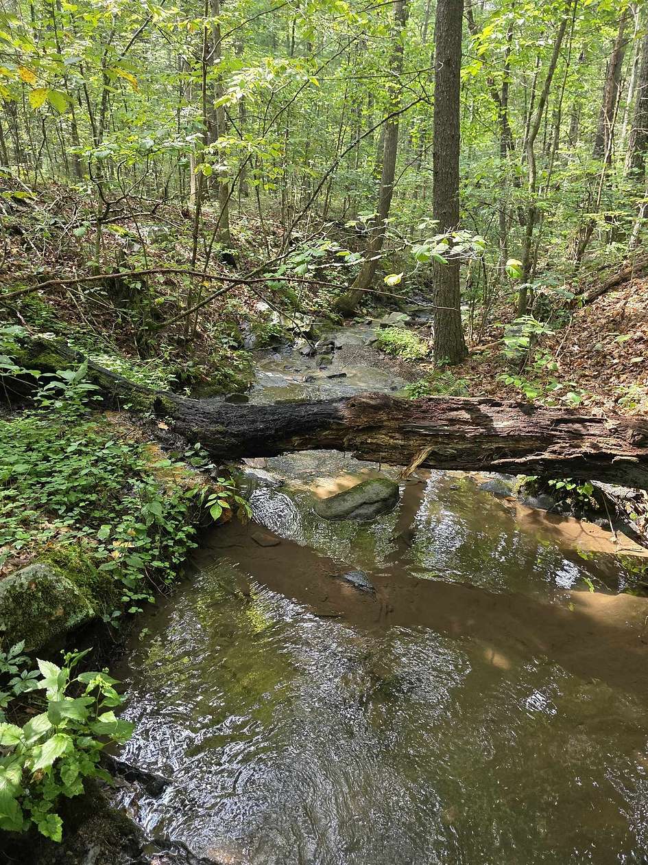 14 Acres of Land for Sale in Fort Valley, Virginia
