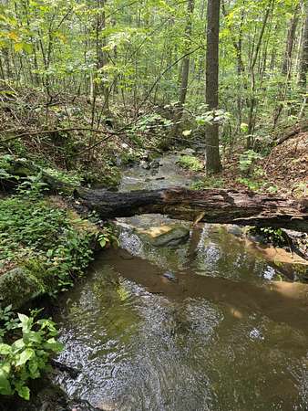 14 Acres of Land for Sale in Fort Valley, Virginia