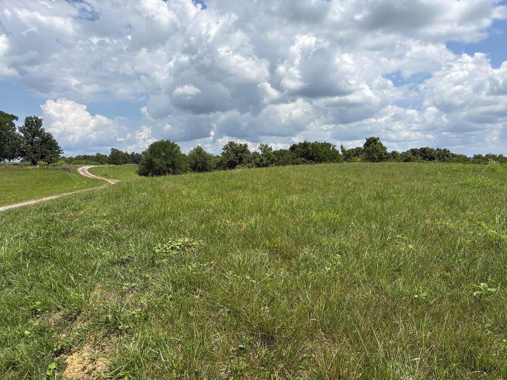 18.4 Acres of Agricultural Land for Sale in Carlisle, Kentucky