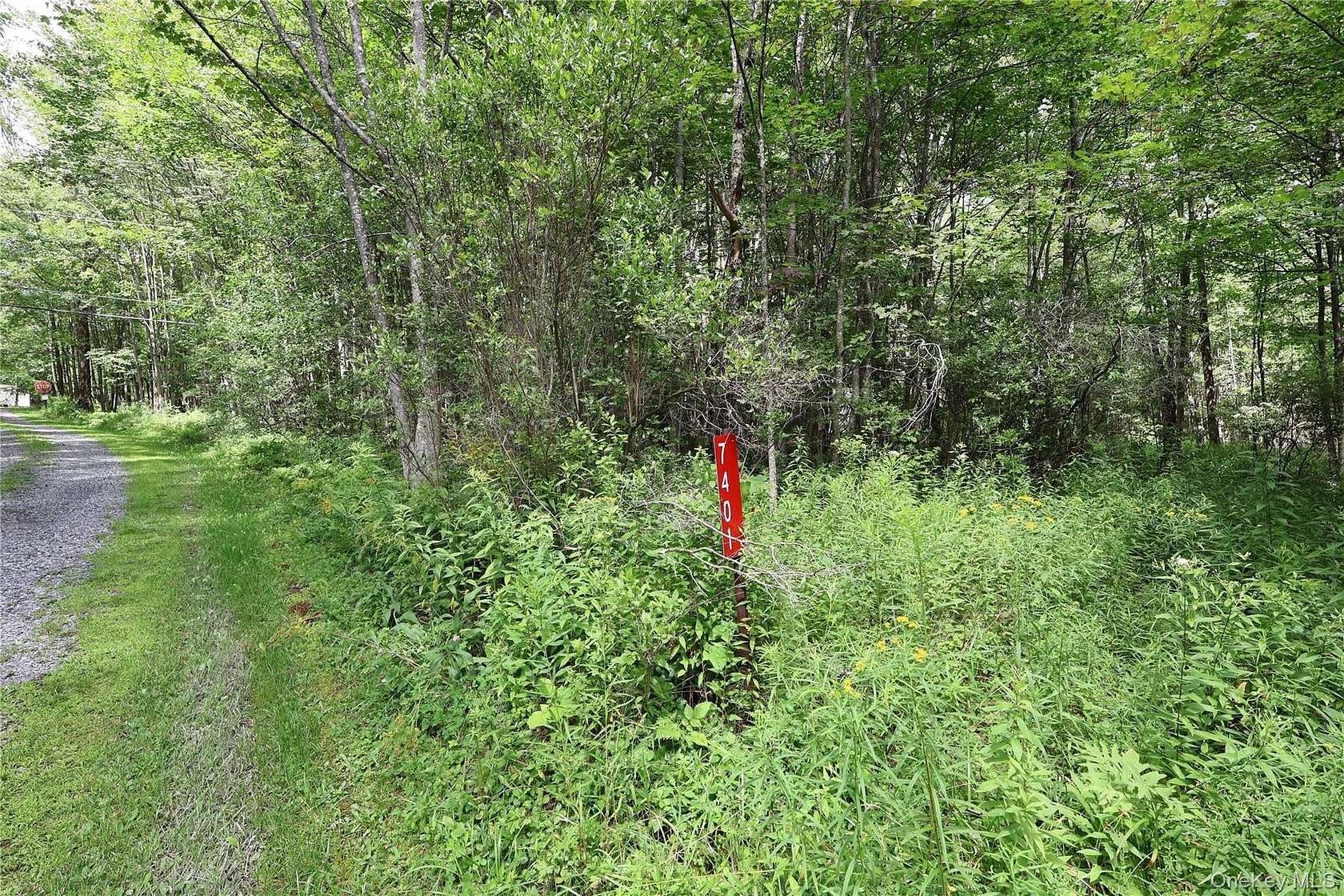 2 Acres of Residential Land for Sale in Arkville, New York