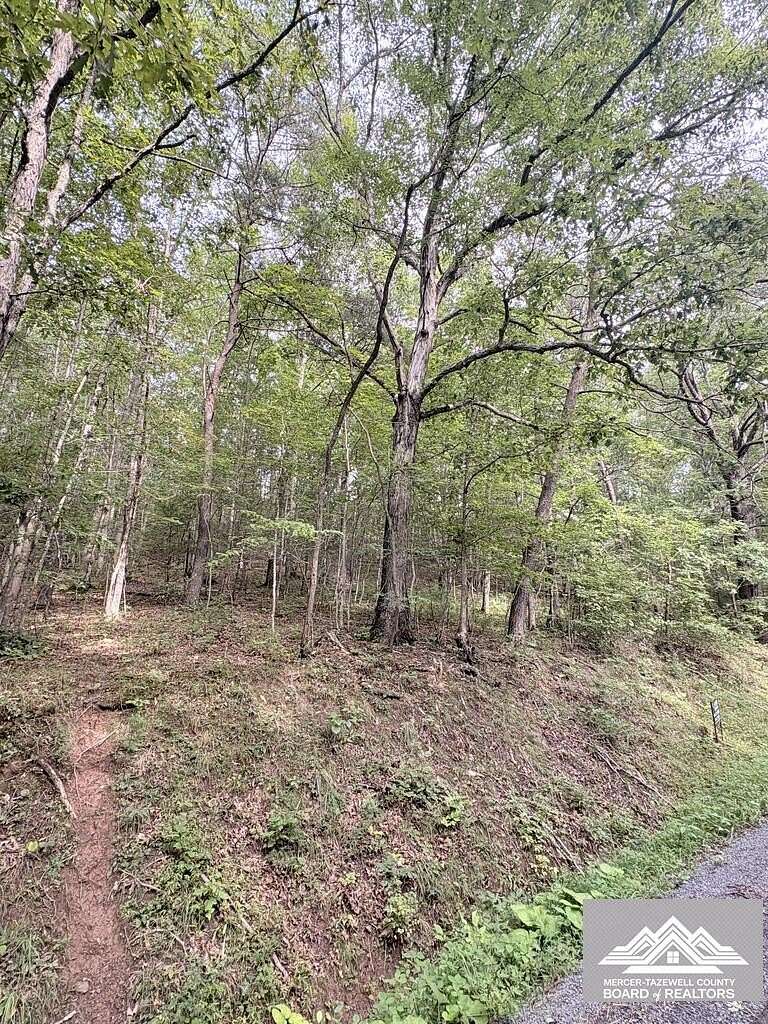 1.1 Acres of Land for Sale in Talcott, West Virginia