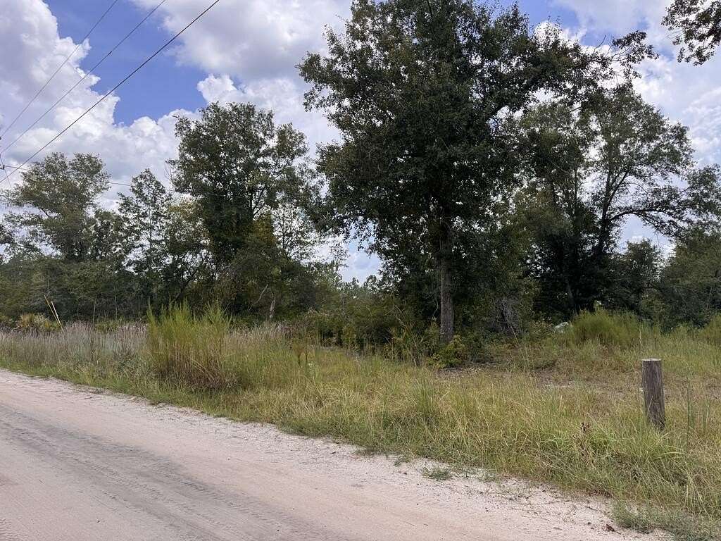 10 Acres of Recreational & Residential Land for Sale in Nicholls, Georgia