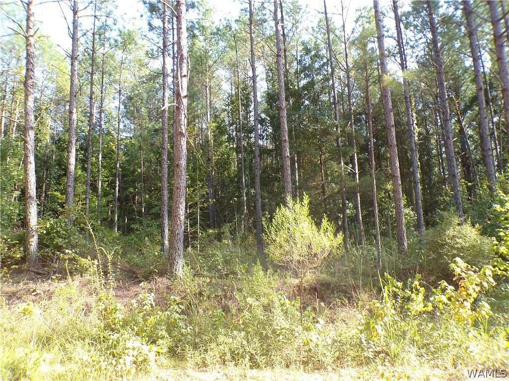 90 Acres of Recreational & Residential Land for Sale in Fayette, Alabama