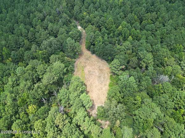 169 Acres of Land for Sale in Roxie, Mississippi