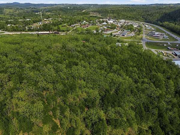 31 Acres of Land for Sale in Gainesville, Missouri