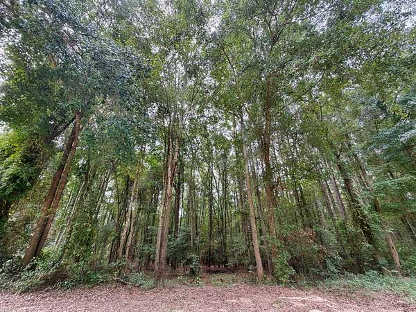 2 Acres of Land for Sale in Cheraw, South Carolina