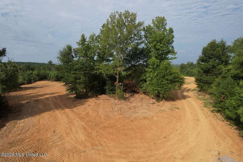 90 Acres of Land for Sale in Meadville, Mississippi