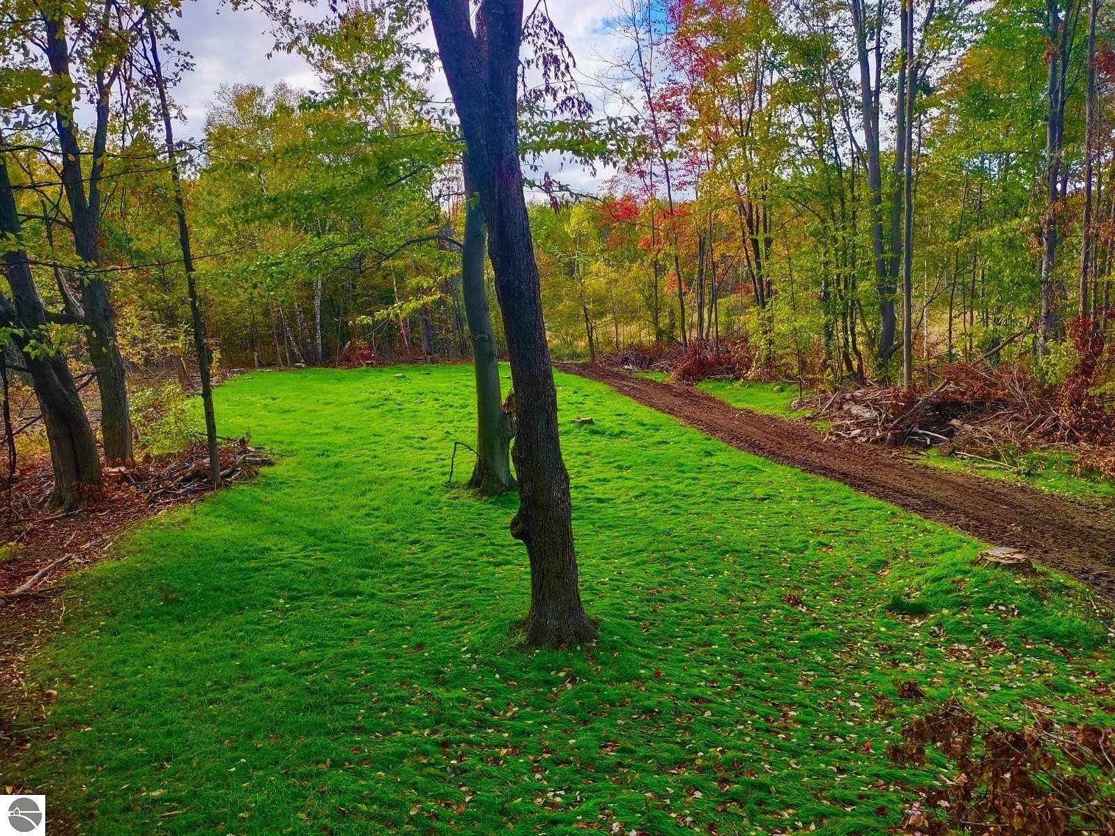 6.5 Acres of Land for Sale in Marion, Michigan
