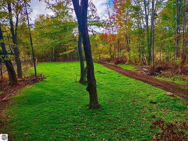 6.5 Acres of Land for Sale in Marion, Michigan