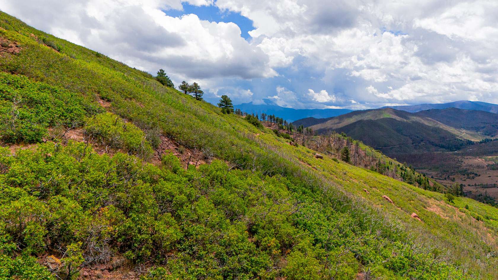 84 Acres of Land for Sale in La Veta, Colorado