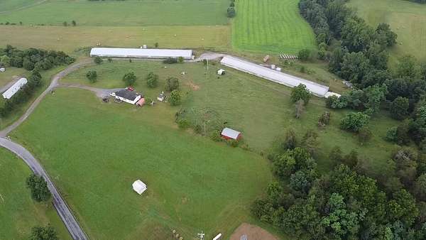 11.4 Acres of Land with Home for Auction in Fulks Run, Virginia
