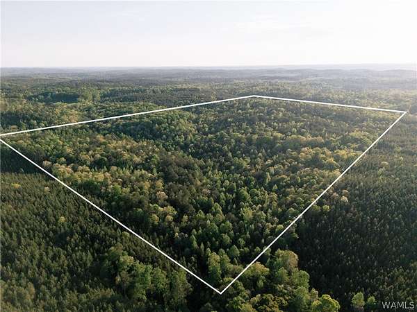 80 Acres of Land for Sale in Northport, Alabama