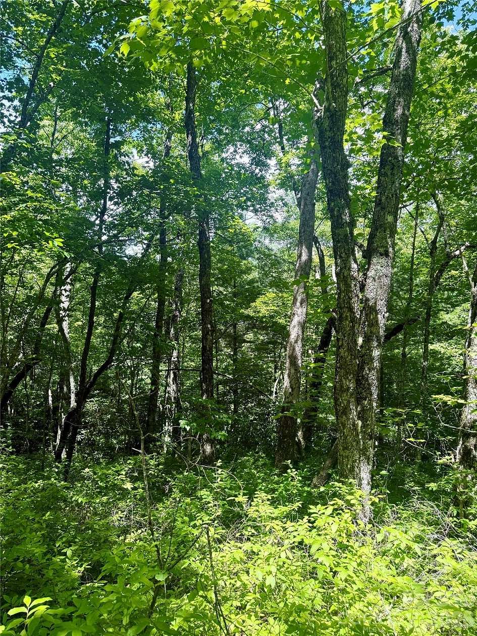 0.72 Acres of Residential Land for Sale in Lake Toxaway, North Carolina