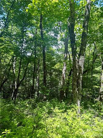 0.72 Acres of Residential Land for Sale in Lake Toxaway, North Carolina
