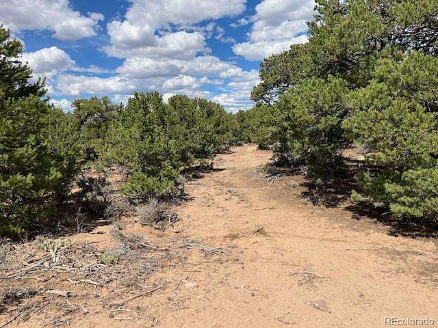 35.1 Acres of Recreational & Residential Land for Sale in San Luis, Colorado