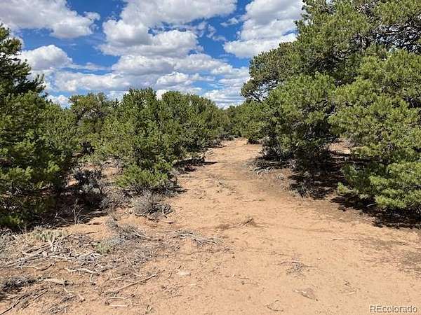 35.1 Acres of Recreational & Residential Land for Sale in San Luis, Colorado