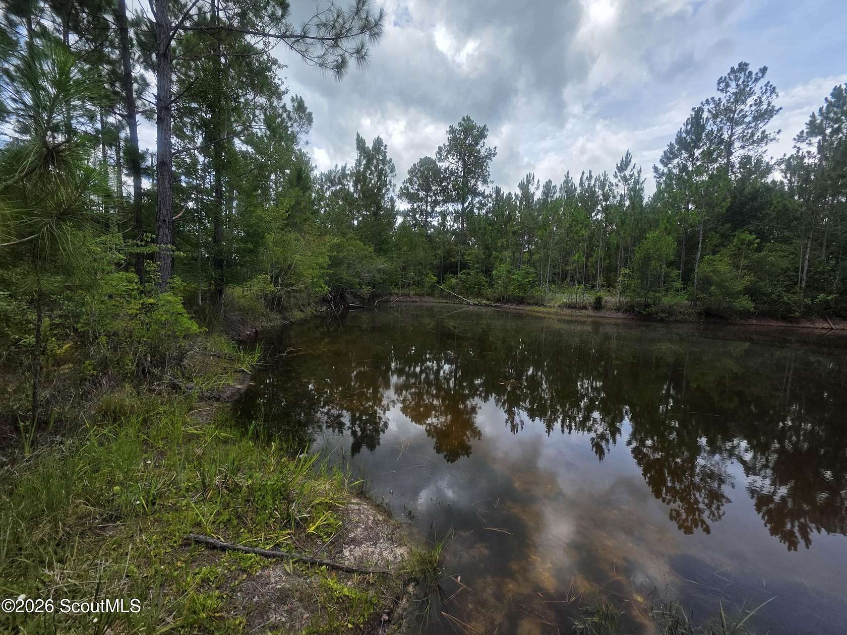 4.67 Acres of Land for Sale in Waycross, Georgia