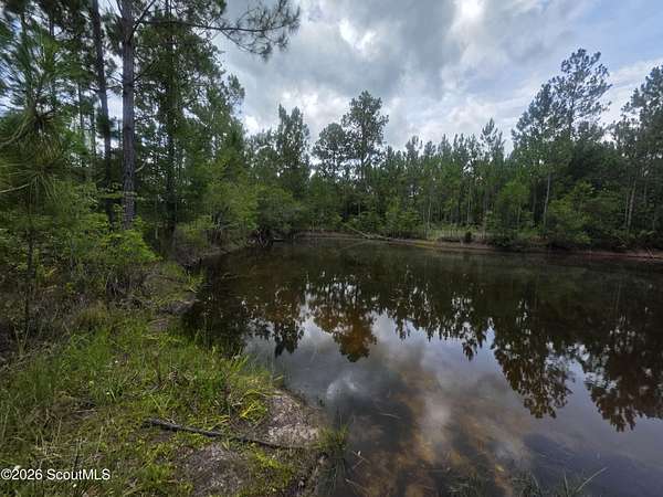 4.67 Acres of Land for Sale in Waycross, Georgia