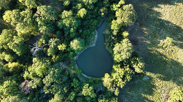 24.1 Acres of Land for Sale in Tennessee Colony, Texas