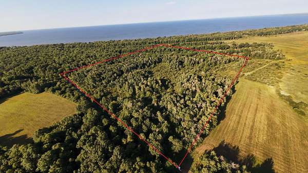 40 Acres of Recreational Land for Sale in Aitkin, Minnesota