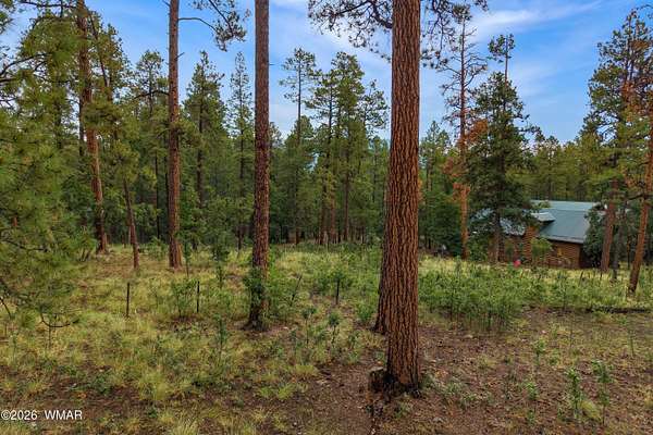 0.46 Acres of Residential Land for Sale in Alpine, Arizona