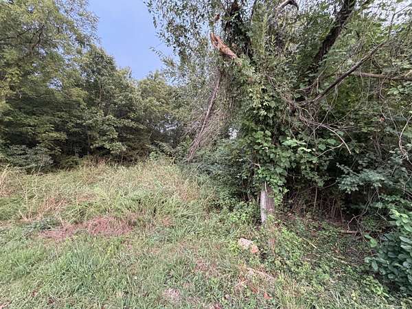 0.52 Acres of Land for Sale in Rockaway Beach, Missouri