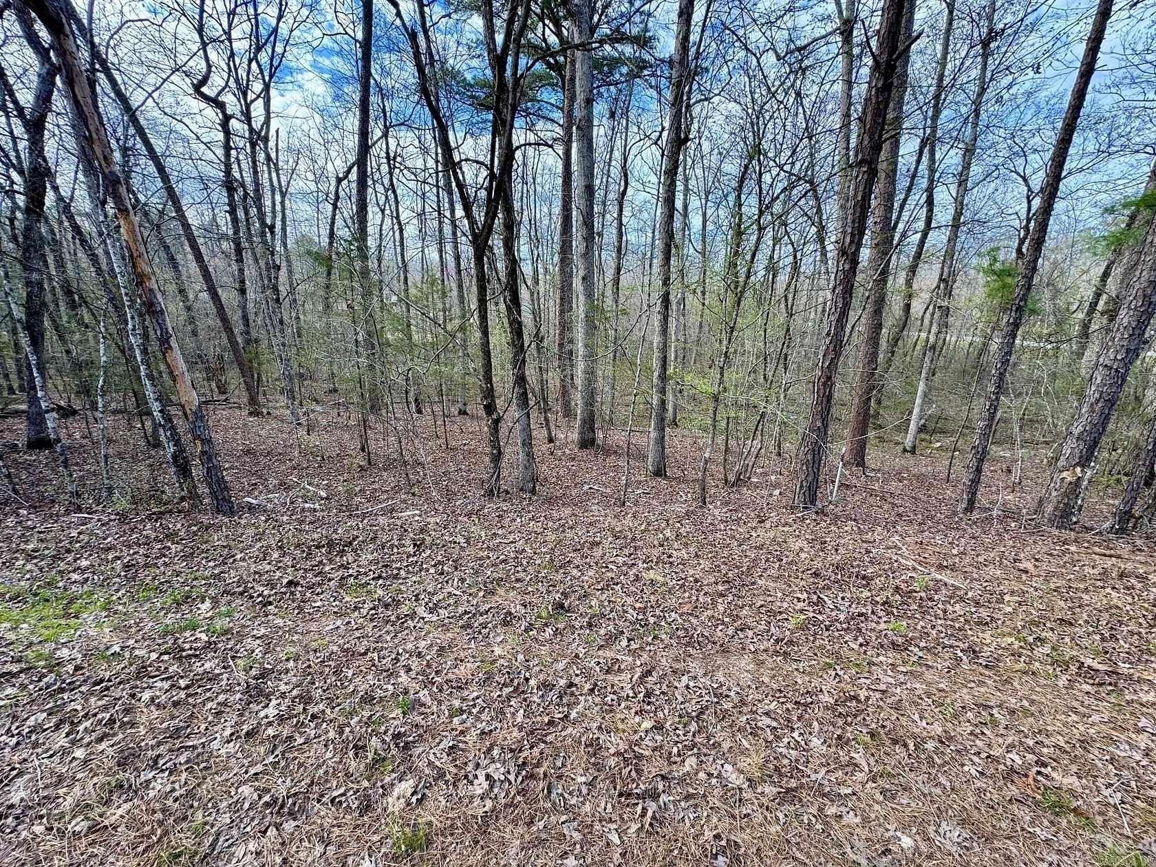 0.24 Acres of Residential Land for Sale in Hot Springs Village, Arkansas