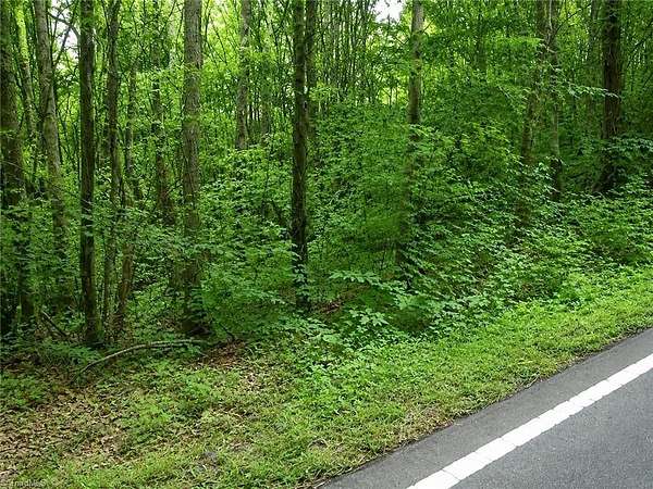 1.87 Acres of Residential Land for Sale in Danbury, North Carolina