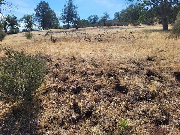 2.5 Acres of Land for Sale in Hornbrook, California
