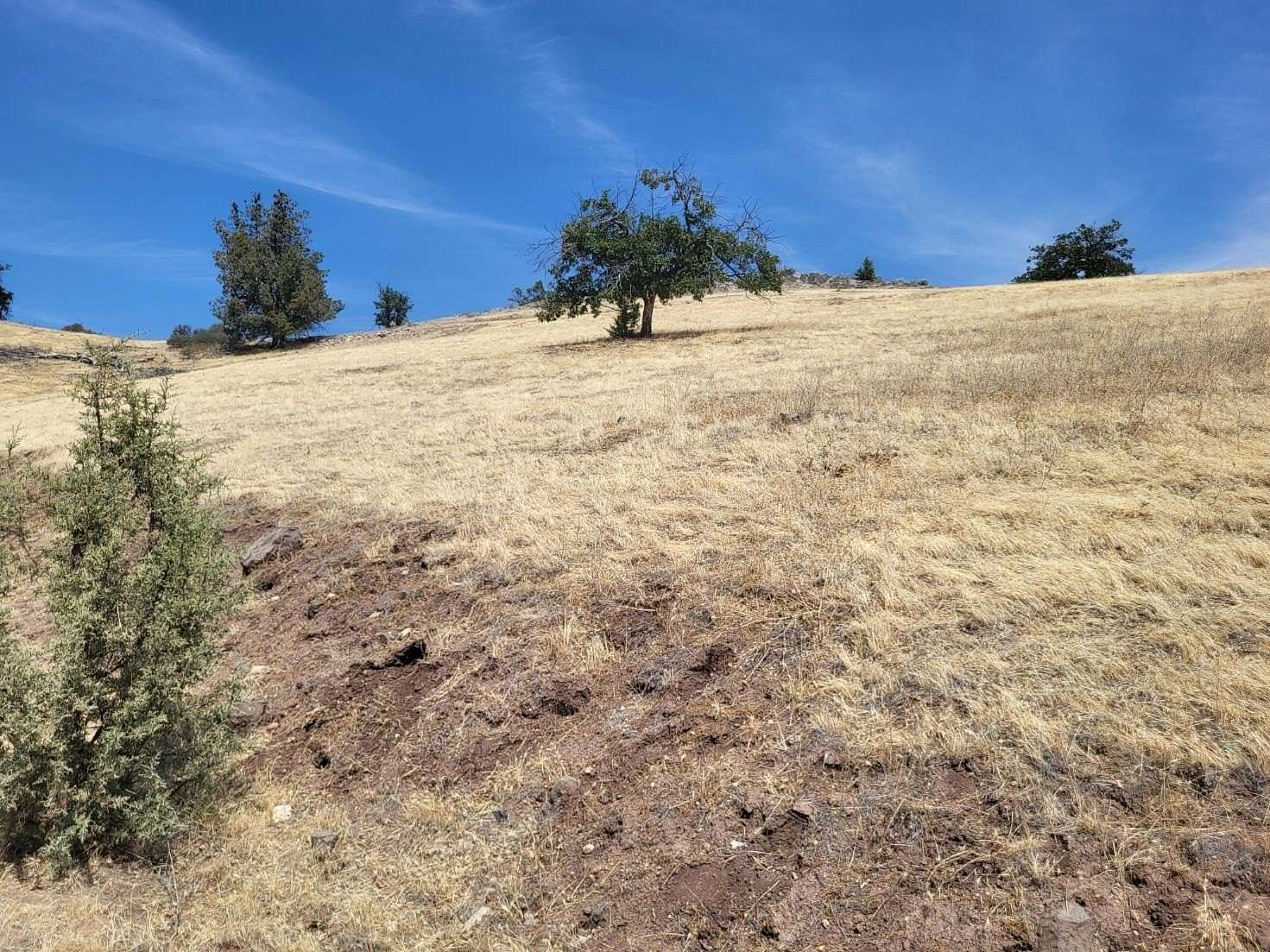 2.5 Acres of Land for Sale in Hornbrook, California