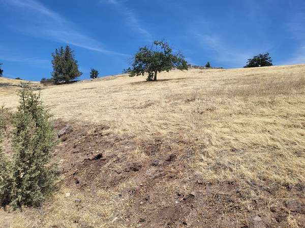 2.5 Acres of Land for Sale in Hornbrook, California