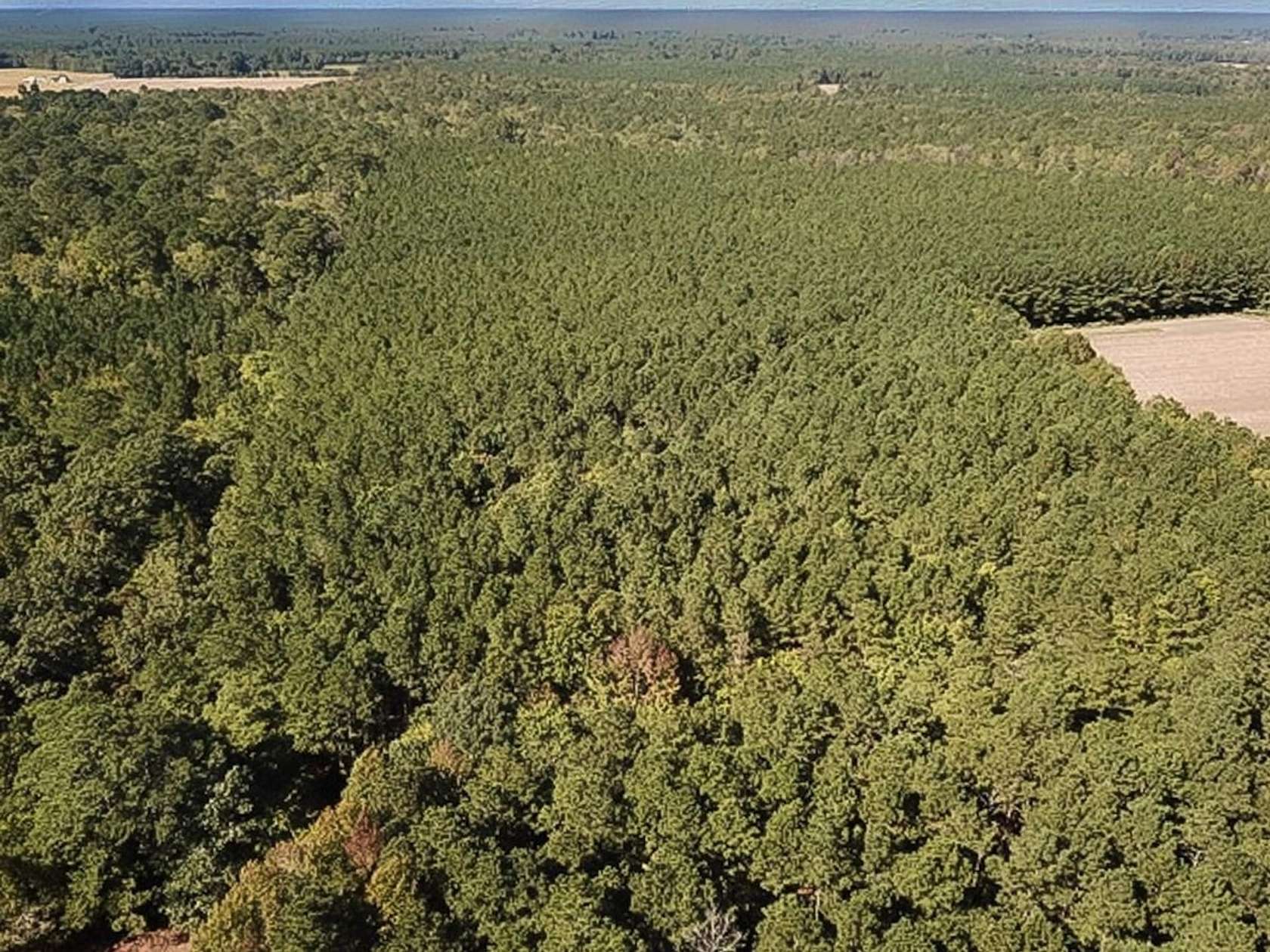 14.9 Acres of Recreational Land for Sale in Suffolk, Virginia