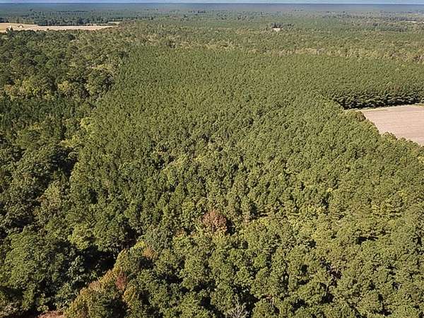 14.9 Acres of Recreational Land for Sale in Suffolk, Virginia
