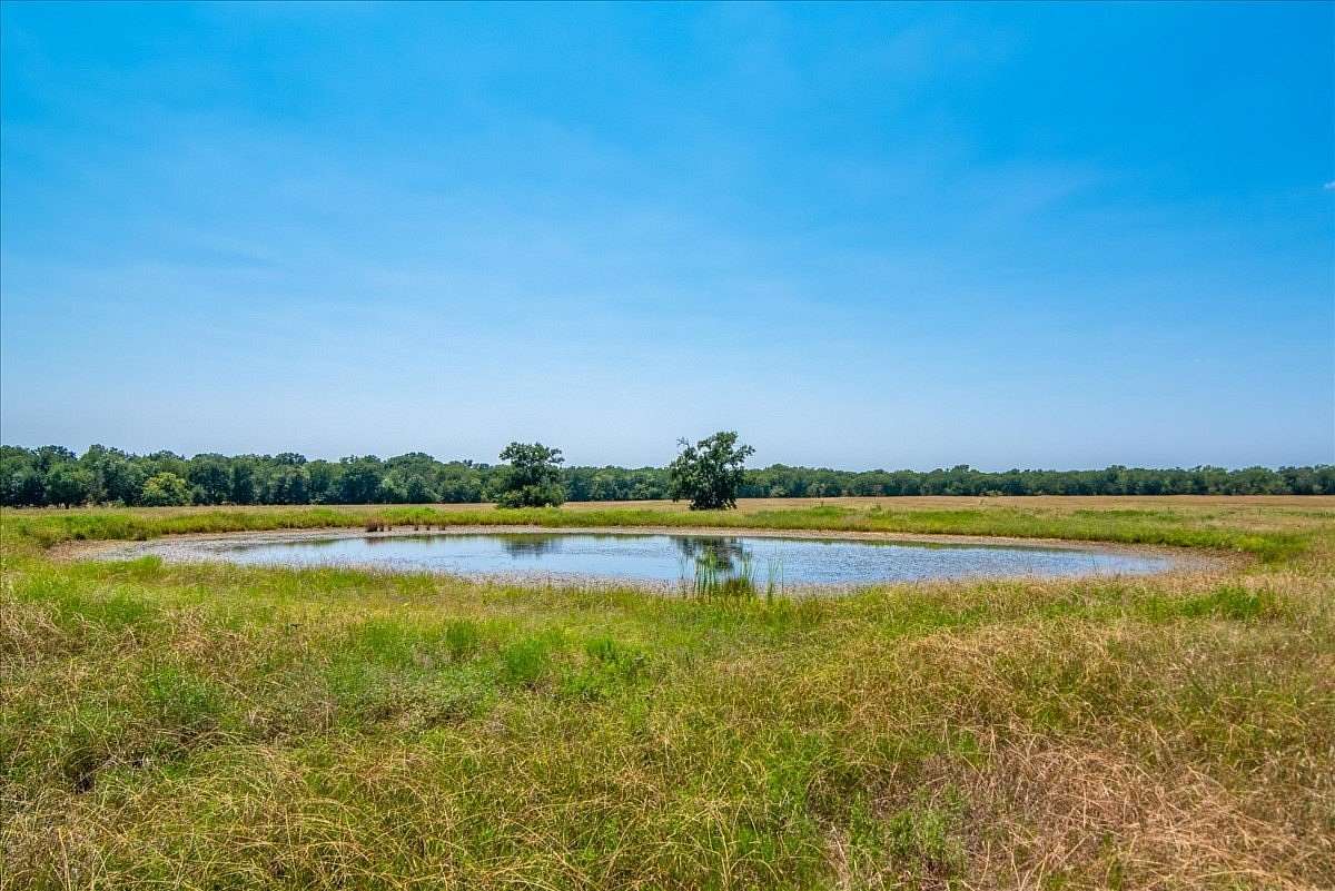 47.5 Acres of Commercial Land for Sale in Ladonia, Texas