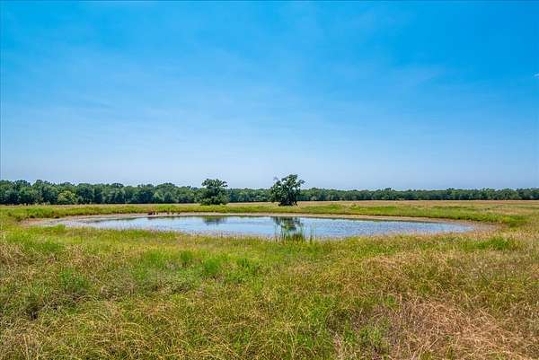 47.5 Acres of Commercial Land for Sale in Ladonia, Texas