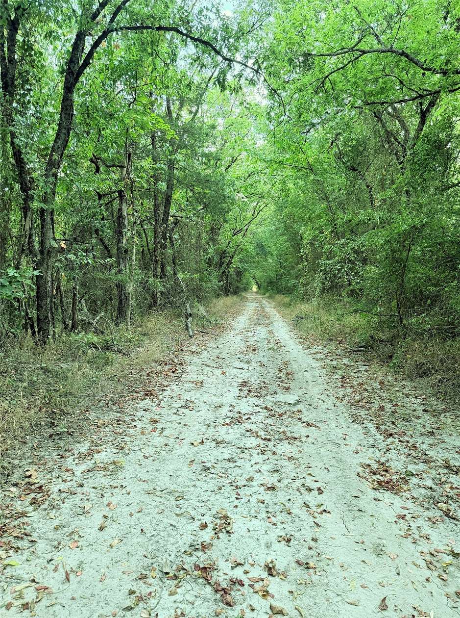 12.4 Acres of Recreational Land for Sale in Wolfe City, Texas