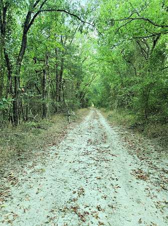 12.4 Acres of Recreational Land for Sale in Wolfe City, Texas