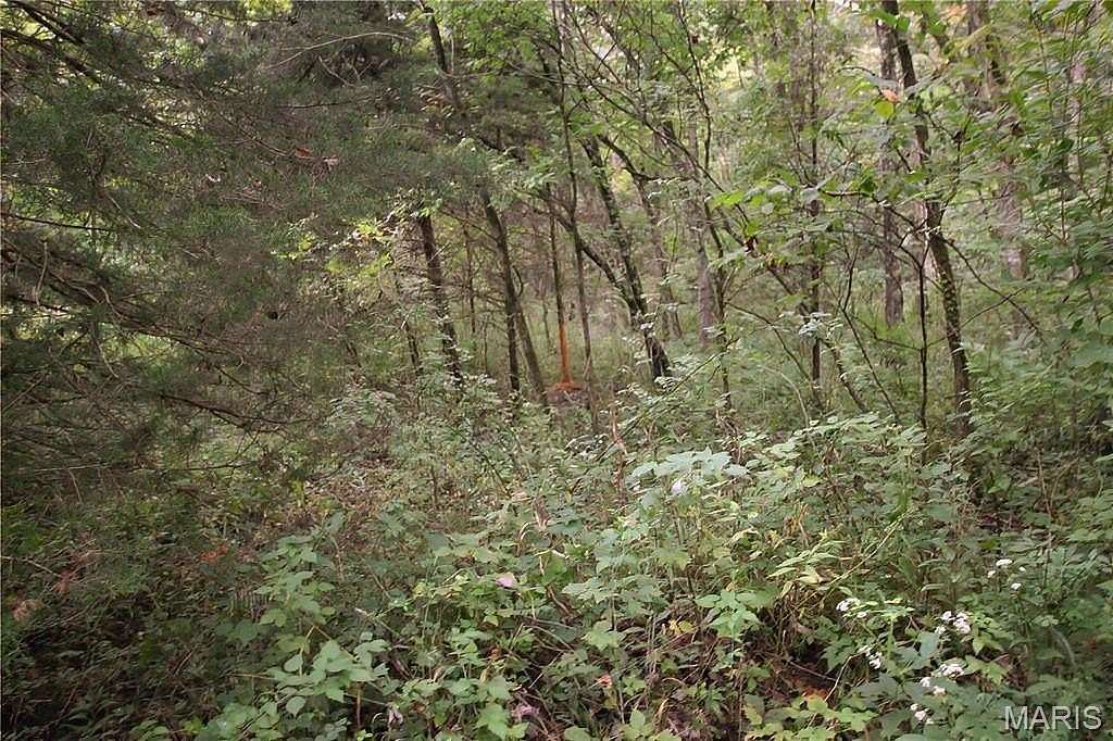 4.65 Acres of Residential Land for Sale in Warrenton, Missouri