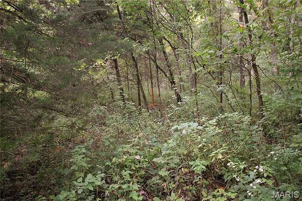 4.65 Acres of Residential Land for Sale in Warrenton, Missouri