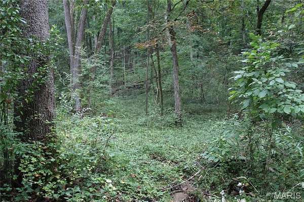 6.72 Acres of Residential Land for Sale in Warrenton, Missouri