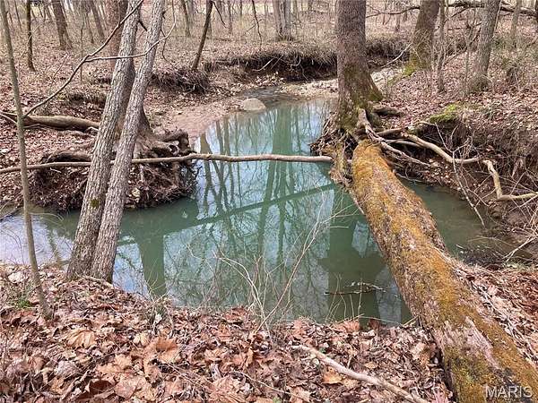 50.2 Acres of Recreational & Residential Land for Sale in Warrenton, Missouri