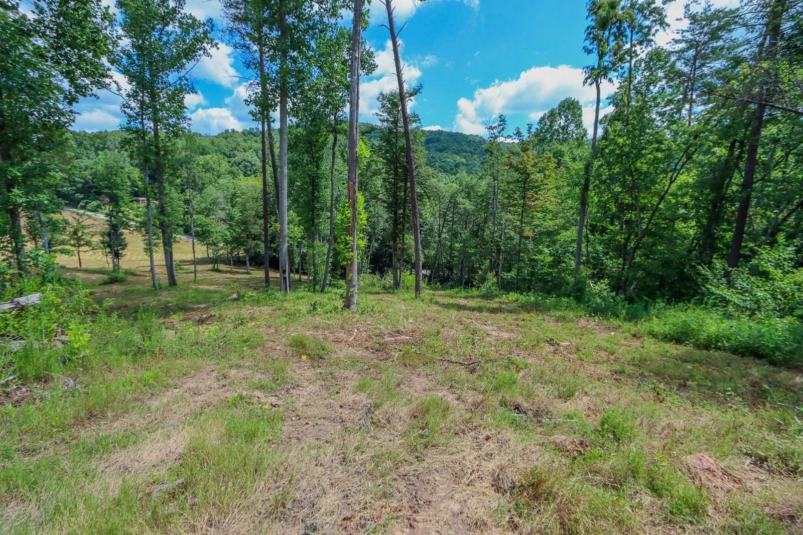 36.5 Acres of Land for Auction in Monterey, Tennessee