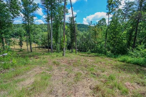 36.5 Acres of Land for Auction in Monterey, Tennessee
