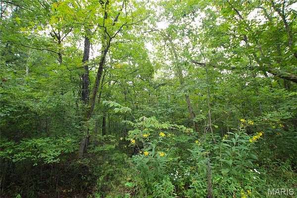 4.14 Acres of Residential Land for Sale in Warrenton, Missouri
