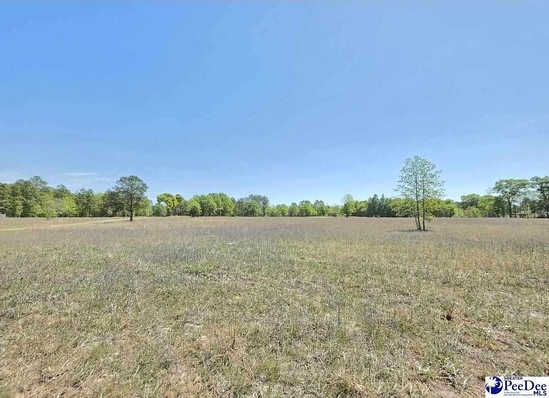 0.5 Acres of Residential Land for Sale in Dillon, South Carolina