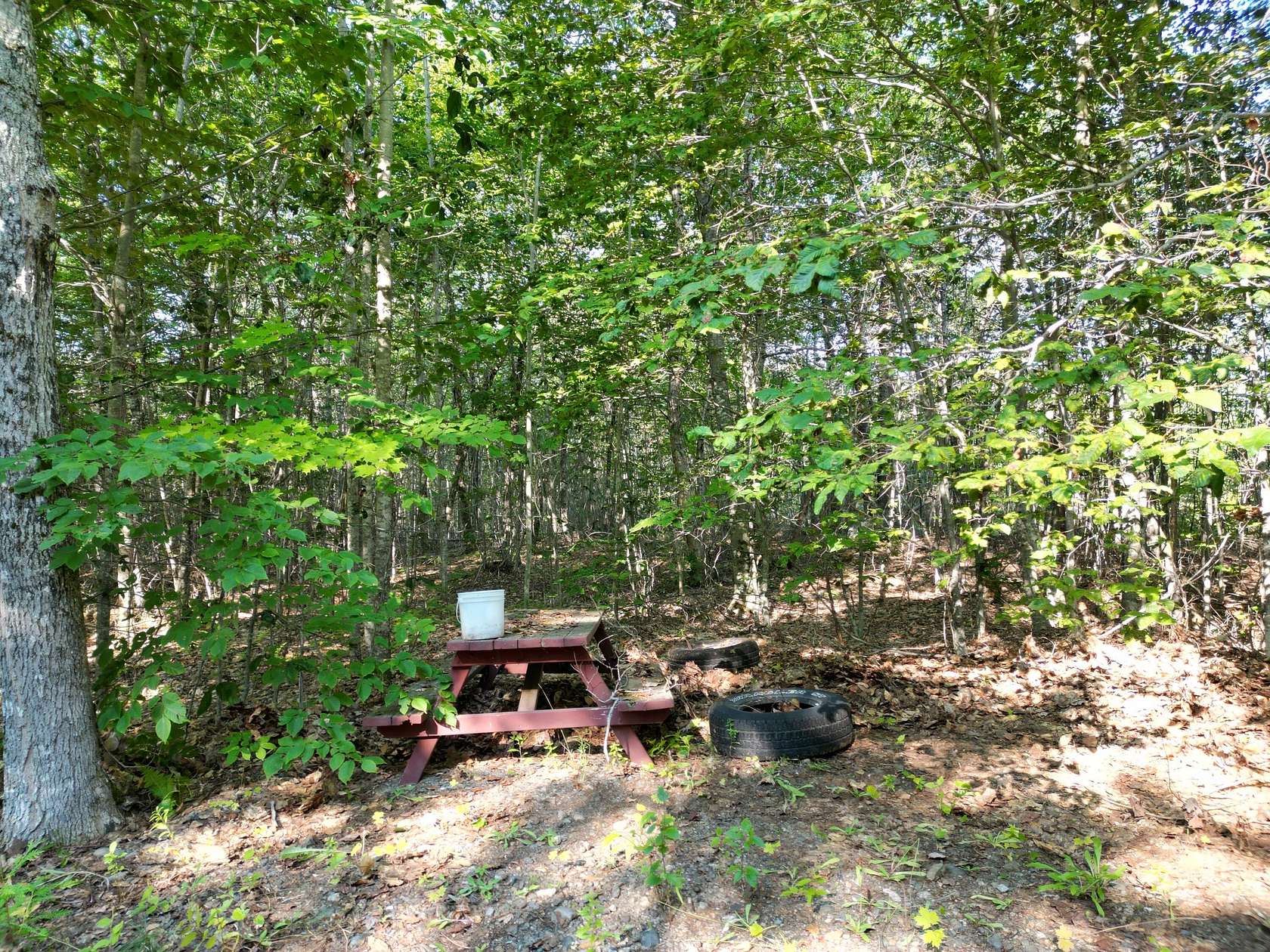 5.2 Acres of Land for Sale in Lee, Maine