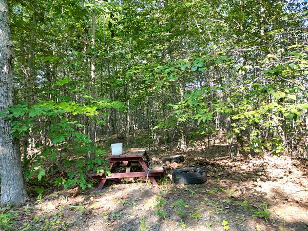 5.2 Acres of Land for Sale in Lee, Maine